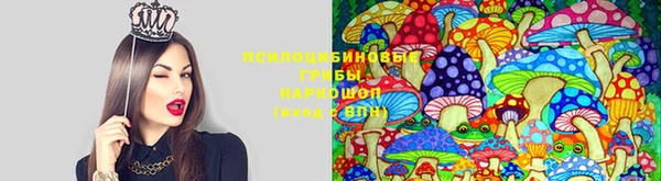 ешки Заволжск