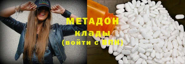 прущие грибы Елизово