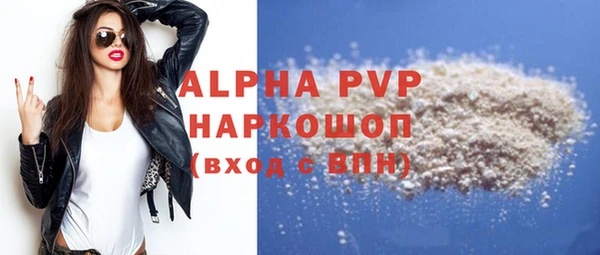 прущие грибы Елизово