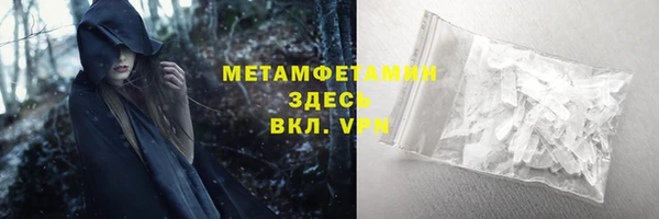 прущие грибы Елизово