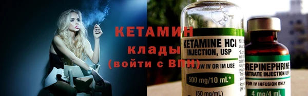 прущие грибы Елизово