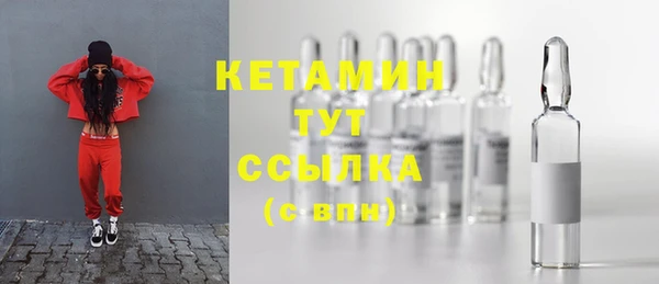 прущие грибы Елизово