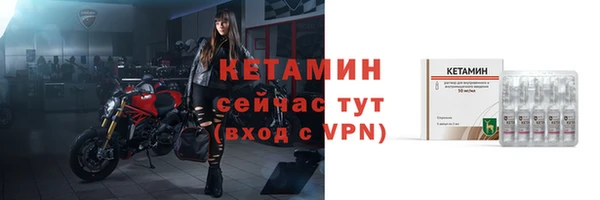 прущие грибы Елизово