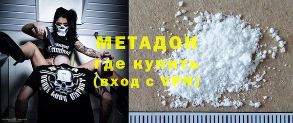 прущие грибы Елизово