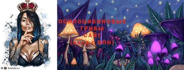 марки lsd Елабуга