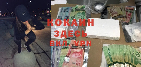 прущие грибы Елизово
