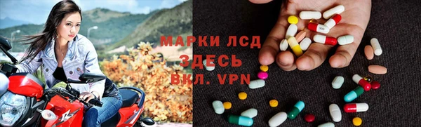 прущие грибы Елизово