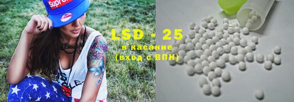 гидра Заводоуковск